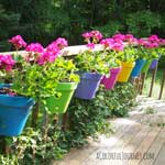 Painting Flower Pots…Learn From My Mistakes thumbnail